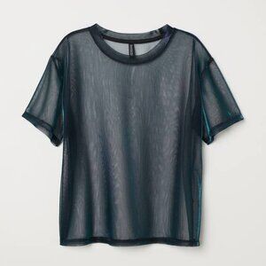 H&M - Shimmering Mesh Top